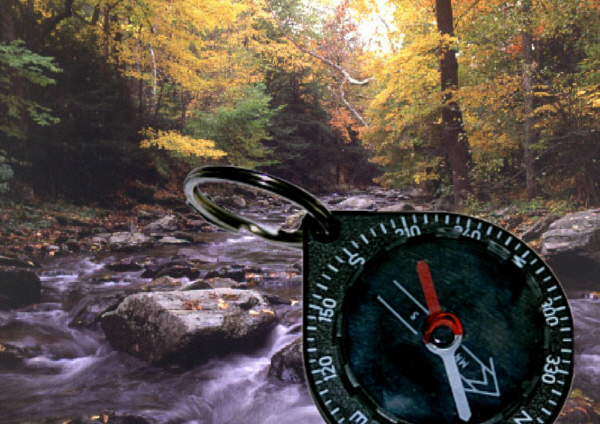 Mountain Stream